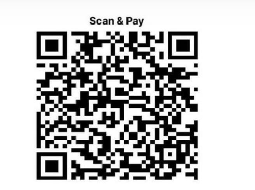 UPI QR code — scan to donate to Shri Radhakrishna Vaidik Seva Ashram